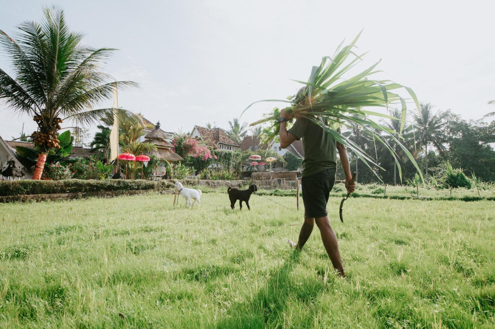 The Rice Joglo Eco-Stay Ubud  Exterior photo